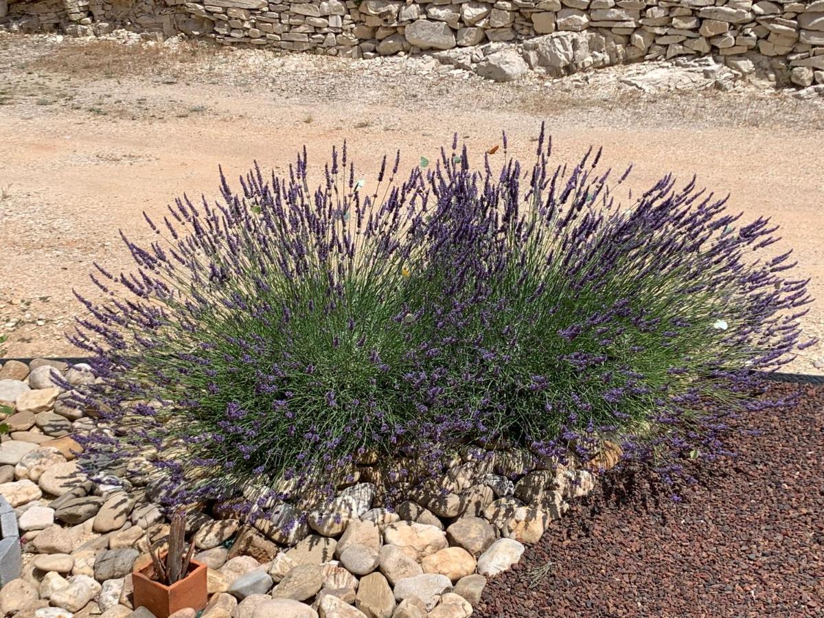 Au Fil Des Cevennes Bed & Breakfast Saint-Jean-de-Maruejols-et-Avejan Ngoại thất bức ảnh